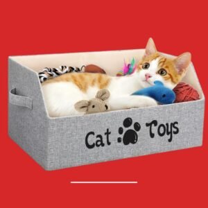 Cat Toy Packaging Boxes